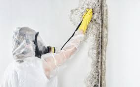 Best Residential Mold Inspection & Testing  in Tarrytown, NY